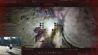 검은사막 각성 격투가 pvp BDO awakening striker pvp [upl. by Eintruoc430]