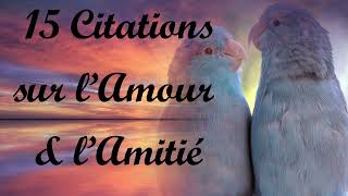 15 citations sur lAmour et lAmitié [upl. by Cummings]