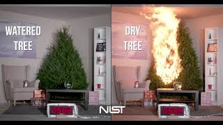 Christmas Tree Fire Safety [upl. by Epoh]