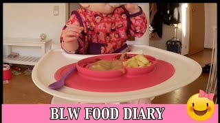 BLW Food Diary  What my Baby eats in a day Deutsch  BLW Rezepte [upl. by Bazluke729]