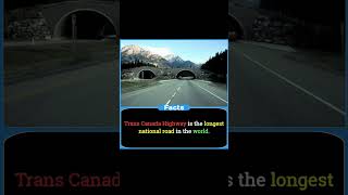 DID YOU KNOW TRANS CANADA 🇨🇦 HIGHWAY IS THE LONGEST NATIONAL LEVEL IN THE WORLD 🌎 😑 😫 [upl. by Trautman]