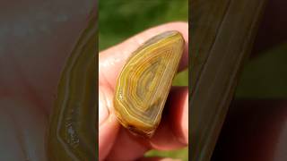 Lovely Limonite 💛 agate rocks crystals [upl. by Lanae796]