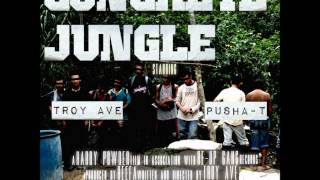 Troy Ave Ft Pusha T  Concrete Jungle 2012 December Dirty CDQ NO DJ [upl. by Retniw]