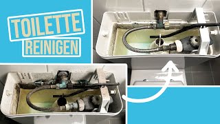 So wird die Toilette richtig sauber  WC Spülkasten entkalken amp unter dem Rand reinigen [upl. by Nico346]