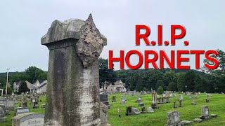 RIP Tombstone Hornets Wasp Nest Removal [upl. by Schroeder]