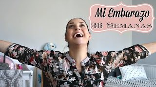 36 SEMANAS DE EMBARAZO  Meta final Sintomas de Parto Ultimos Detalles  36 Week Bumpdate [upl. by Ocsirf702]