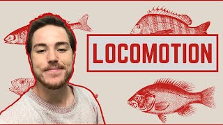 Ichthyology Lesson 5  Fish Locomotion [upl. by Yunfei503]