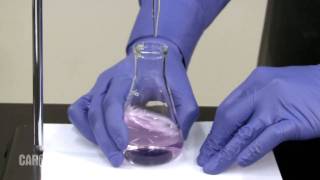 Setting up and Performing a Titration [upl. by Eissirhc]