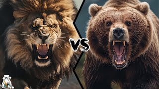 Barbary Lion vs Kodiak Bear – Who would win a fight [upl. by Aleece]