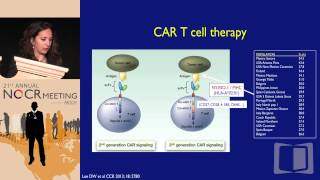 Advances in Therapy for Sarcomas amp GIST [upl. by Pedrick41]