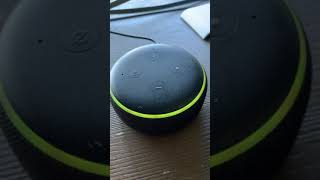 Why is Echo Dot Yellow Glowing Pulsing or Blinking [upl. by Niledam]