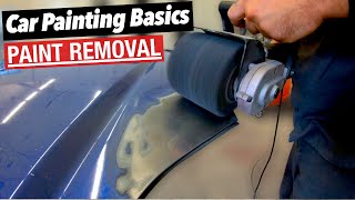 The DIY ANSWER to OLD Paint Removal [upl. by Winifield]