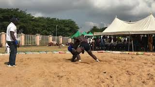 Kokuwa traditional wrestling 🤼‍♀️ games at D 21 national sports festival Nigeria Edo vs Kano state [upl. by Dranal]