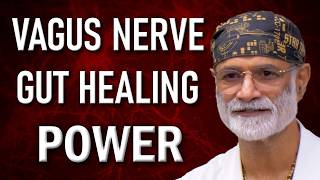 How the Vagus Nerve Heals Your Gut The Key to Digestive Health and Healing [upl. by Theran]