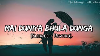 Main Duniya Bhula Dunga  Lofi Version  Slowed  Reverb [upl. by Latrice]