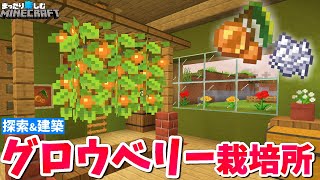 グロウベリー入手！かわいい栽培所も建てよう！！【マインクラフト】サバイバル 32 [upl. by Moshell]