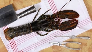 Preparing lobster – Savory [upl. by Kennet85]