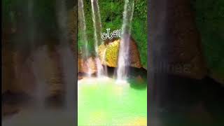 al quran translation in urdu 💯💚 quranrecitation islam shorts ytshorts [upl. by Annodahs]