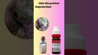 Eupatorium perf Homeopathic Medicine  Eupatorium perf 30  200  benefits Identifying Symptoms [upl. by Orlene]