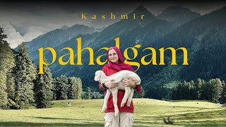 Pahalgam Kashmir  Aru valley  Betaab Valley  Switzerland of India  Anantnag Kashmir [upl. by Urquhart]