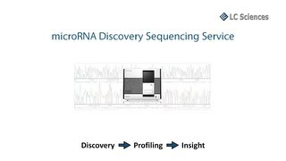 microRNA Sequencing Service [upl. by Keldon]