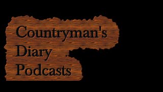 Countrymans Diary Podcasts Chatting with Diggory Hadoke 0402 [upl. by Shaughnessy]