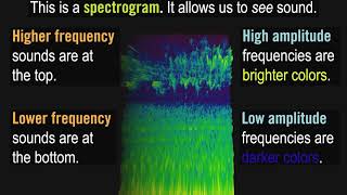 What is a Spectrogram [upl. by Leander]