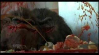 Critters 2  Trailer en español 1988 retro critters vintage [upl. by Retsila725]