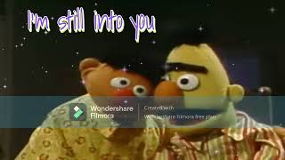 Bert x Ernie Still Into You [upl. by Onig953]