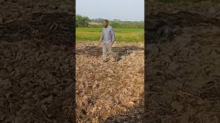 Practical agroecological training for farmers Towards food security and sustainable livelihoods [upl. by Scholem70]