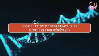 Localisation et Organisation de linformation héréditaire [upl. by Kunin16]