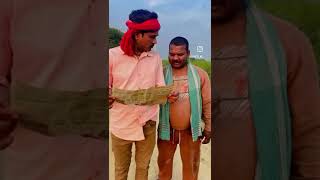 Chalti Hui train Palat gai  comedy video  BhojpuriComedyhub [upl. by Bosch]