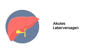 Akutes Leberversagen  Erkrankungen von Leber Gallenwege und Pankreas [upl. by Lalittah]