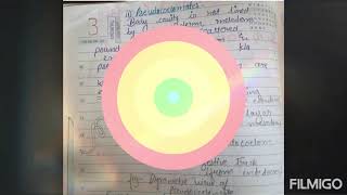 Acoelomate and coelomate topic no 1 zoology optional for IAS  hand written notes [upl. by Eiuqcaj]