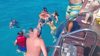 How to do snorkeling for beginners kids and seniors in Orange bay Hurghada Island Snorkeling Trip [upl. by Oniskey]