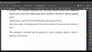 L74 Glucose alanine cycle [upl. by Enomahs879]