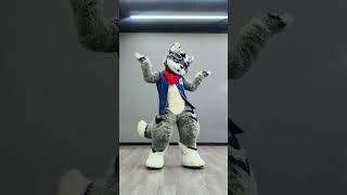 Do the niconiconi dance niconiconii lovelive kemono kemonofurry kemonofursuit furrytiktok [upl. by Nerraf]