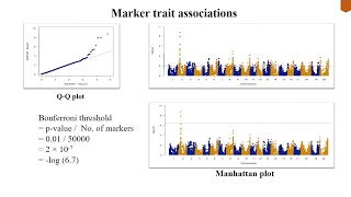 Genome Wide Association Study GWAS  Association mapping  Linkage Disequilibrium mapping [upl. by Briggs93]