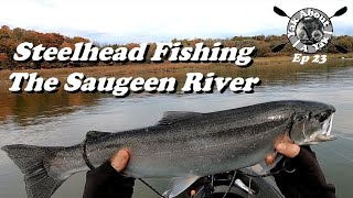 YAAY Ep23  Kayak Steelhead Fishing The Saugeen River [upl. by Erdnassac435]