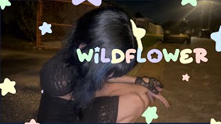 Wildflower  Billie Eilish Cover [upl. by Hochman]