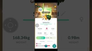 Evolving SHUNDO Galarian Farfetchd in Pokemon Go  Shiny 100IV Galarian Farfetchd  pokemongo [upl. by Meeharbi]