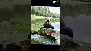 fishing carp carpfishing lake fish nature [upl. by Onitnerolf598]