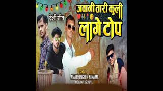 tara galoni lali ral rina new timli song Amarsingh timlisong gujaratitimlisong viraltimli [upl. by Haerdna833]