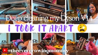 Deep Cleaning My Dyson V11  Disassembly amp Maintenance Tips [upl. by Lussi]