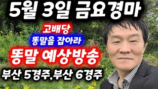 5월 3일금 경마 고배당 똥말 예상방송 [upl. by Einhpad131]