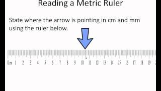 Reading a Metric Rulerwmv [upl. by Reiniar]