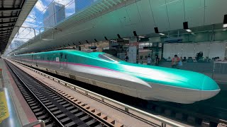 Riding the Japans Fastest Bullet Train l HAYABUSA First Class Seat 🚄 [upl. by Hermosa]