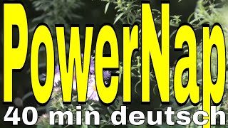 Power Nap 40 min Power Napping deutsch Hypnose Meditation Mittagsschlaf Powerschlaf NSDR [upl. by Dnaltiak]