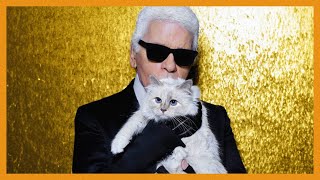 Choupette the cat behind Karl Lagerfeld spotlight [upl. by Lohse]