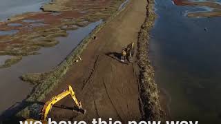 Thérèse Coffey MP visits RSPB Havergate Island [upl. by Nyre382]